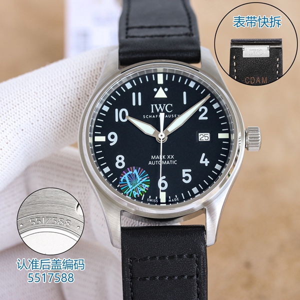 アイ・ダブリュー・シー背面デザイン